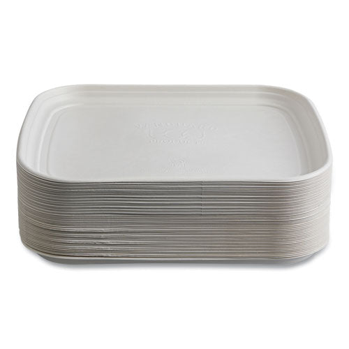 Image of Eco-Products® Regalia Sugarcane Servingware, Platter, 13 x 17, White, 100/Carton