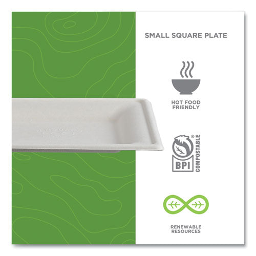 Image of Eco-Products® Vanguard Renewable and Compostable Sugarcane Plates, 6 x 6, White, 500/Carton