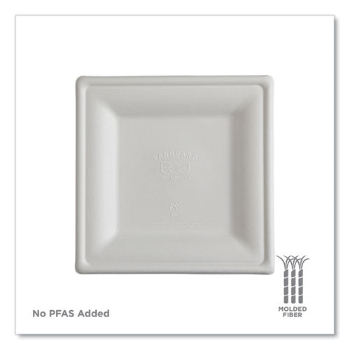 Image of Eco-Products® Vanguard Renewable and Compostable Sugarcane Plates, 10 x 10, White, 250/Carton