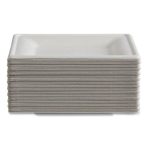 Image of Eco-Products® Vanguard Renewable and Compostable Sugarcane Plates, 6 x 6, White, 500/Carton