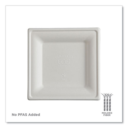 Image of Eco-Products® Vanguard Renewable and Compostable Sugarcane Plates, 6 x 6, White, 500/Carton