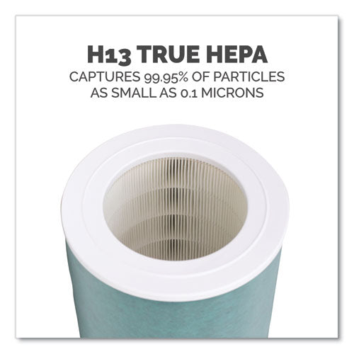 Image of Fellowes® AeraMax SE Combo Filter, 10.87" x 14.75"