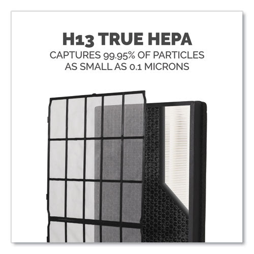 Image of Fellowes® AeraMax SV Combo Filter, 2 Sets/Pack