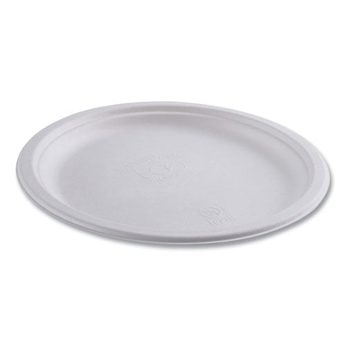 Image of Eco-Products® Vanguard Renewable And Compostable Sugarcane Plates, 10" Dia, White, 500/carton