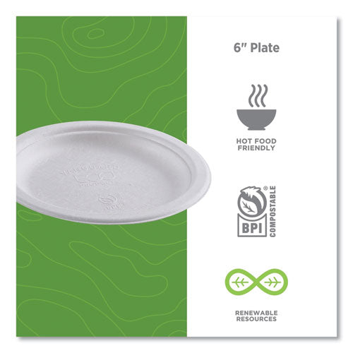 Image of Eco-Products® Vanguard Renewable And Compostable Sugarcane Plates, 6" Dia, White, 1,000/carton