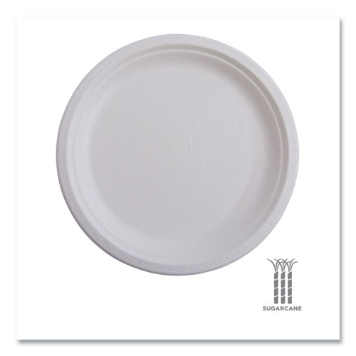 Image of Eco-Products® Vanguard Renewable And Compostable Sugarcane Plates, 6" Dia, White, 1,000/carton