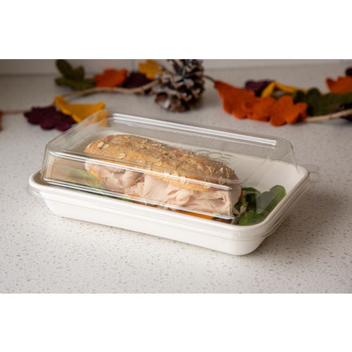 Image of Eco-Products® Worldview 100% Recycled Content Lid, 10.82 x 10.71 x 1.83, Clear, Plastic, 200/Carton