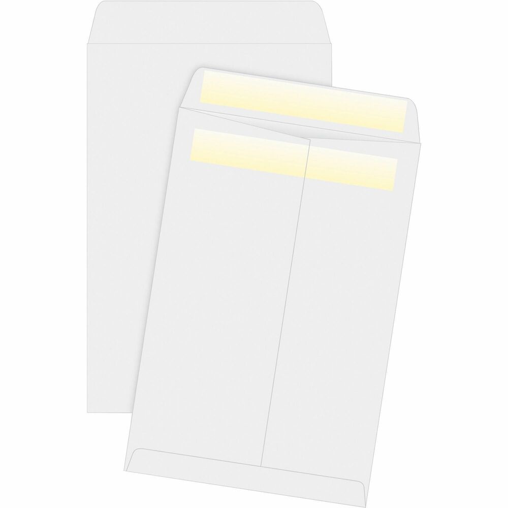 Image of Business Source Press/Seal Catalog Envelopes, 28lb, 6"x9", 100/BX, WE Wove