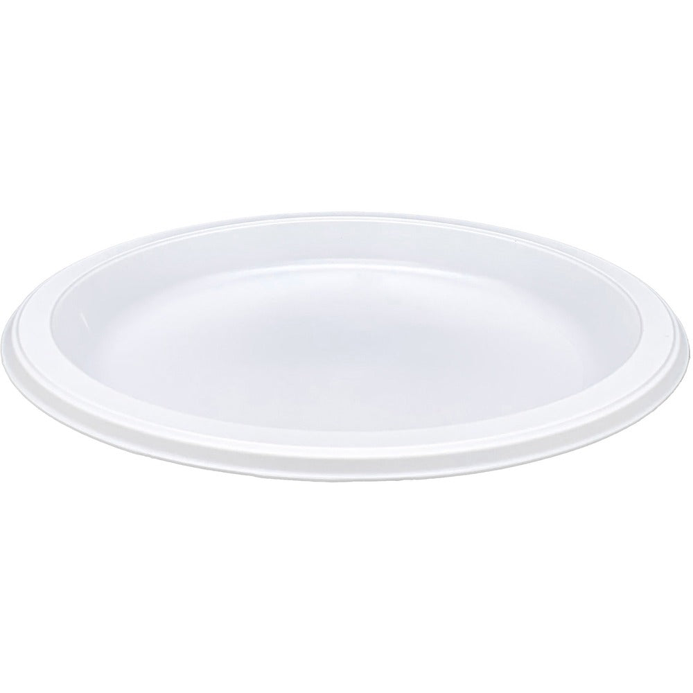Image of Genuine Joe Plastic Plates, Reusable, 10-1/4", 125/PK, 4PK/CT, WE