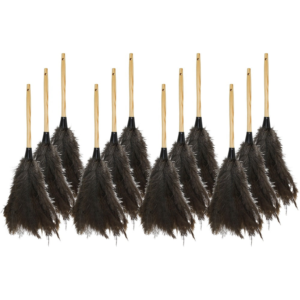 Image of Genuine Joe Feather Duster, 18", 12/CT, Brown