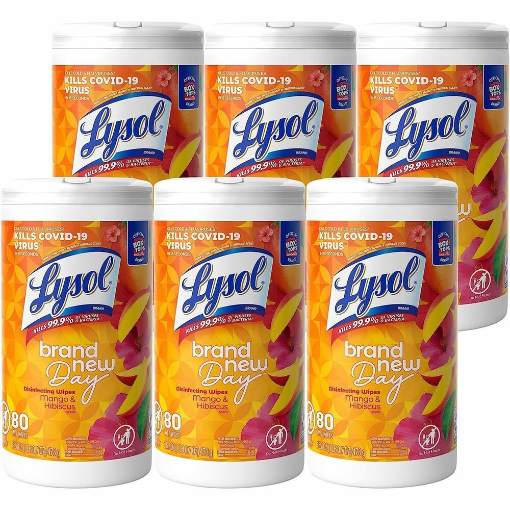 Image of Reckitt Benckiser Disinfecting Wipes, Brand New Day, 80Sht/Can, 6 Can/CT, WE