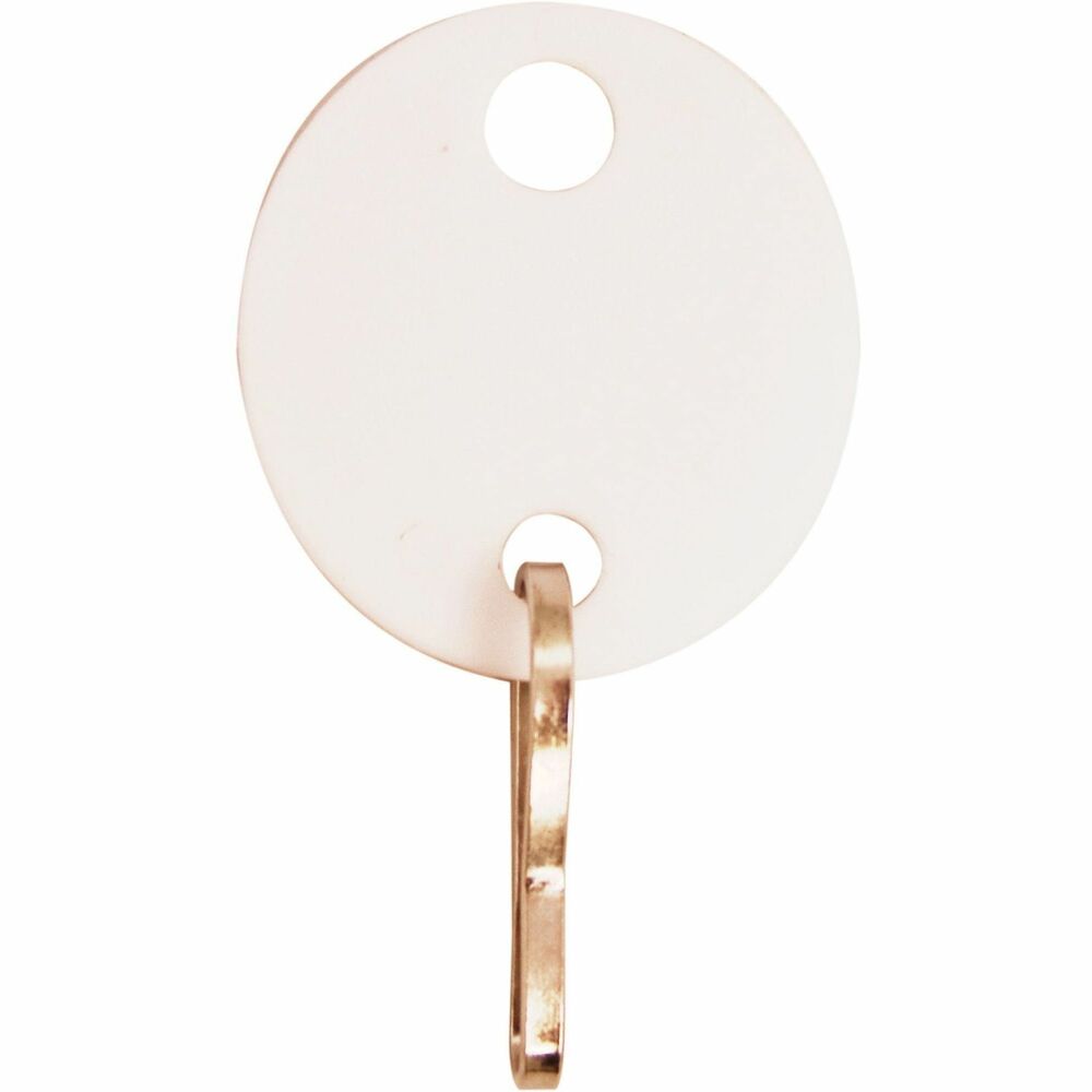Image of Sparco Key Tag, Oval, Plastic, 1-1/10"Wx3/4"Lx3-1/2"H, 20/PK, WE