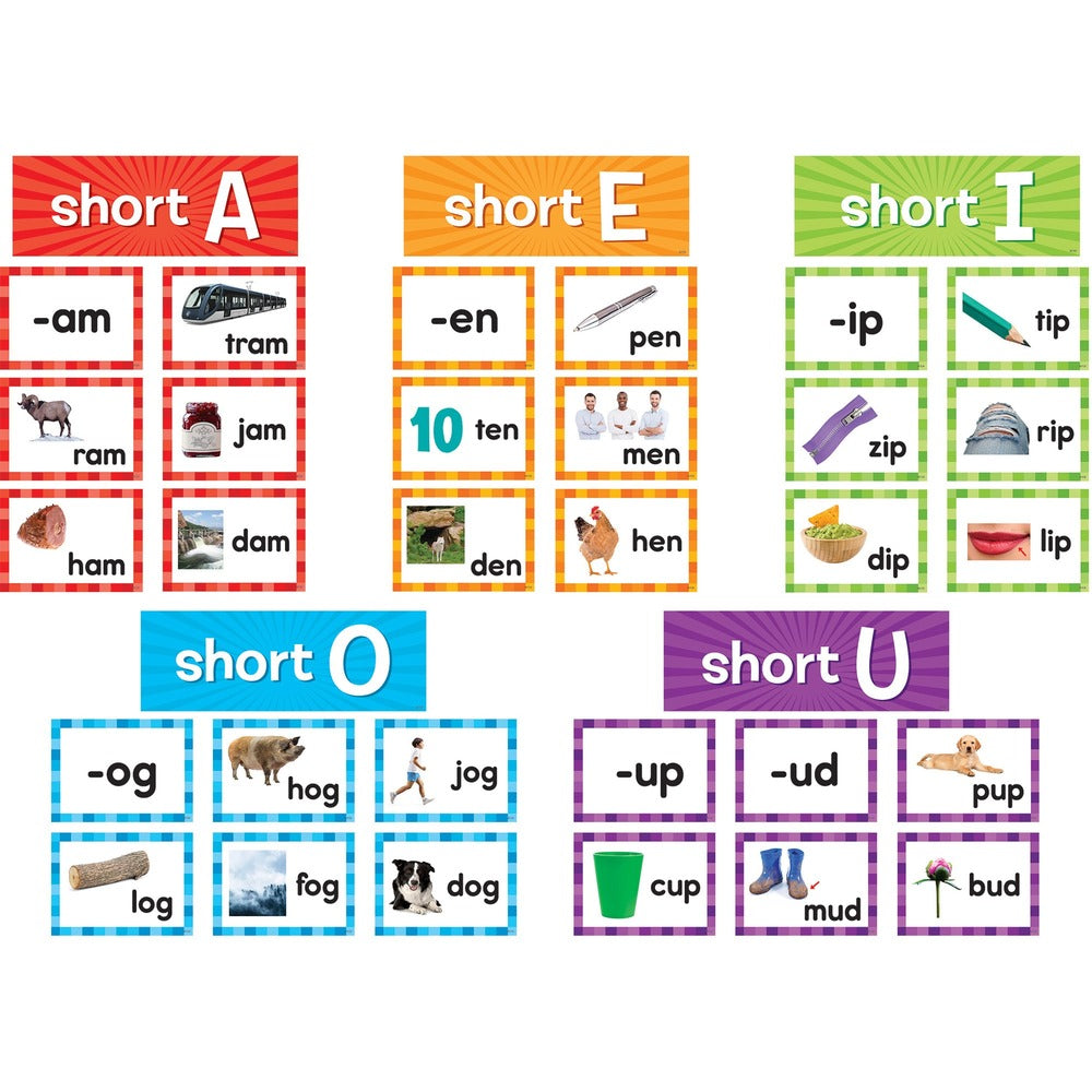 Image of Teacher Created Resources Chart Cards,Short Vowels,205 Pieces,3-1/4"x4-1/2",Multi