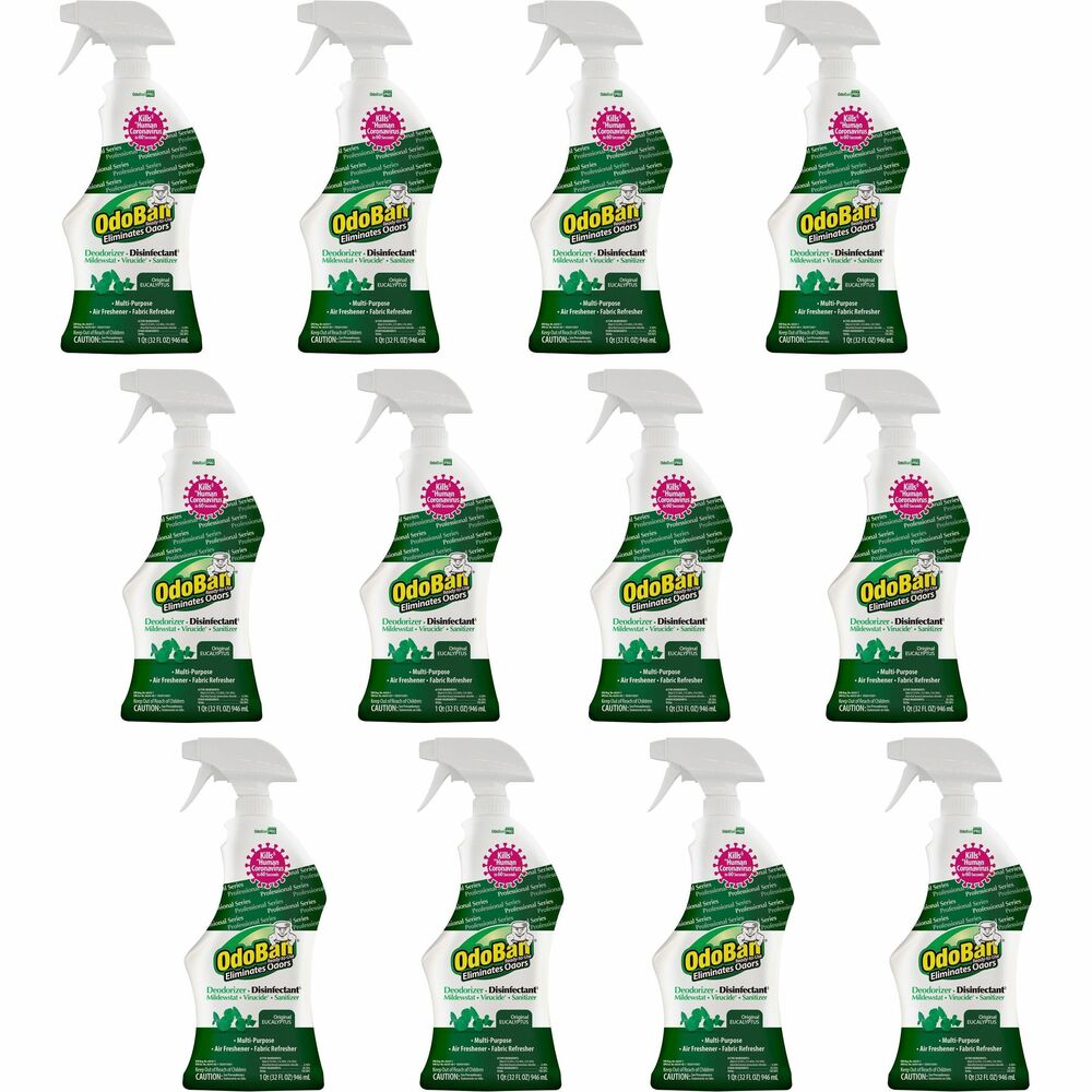 Image of Clean Control Corporation Disinfectant Spray,Deodorizer,32oz,Eucalyptus,12/CT,GN
