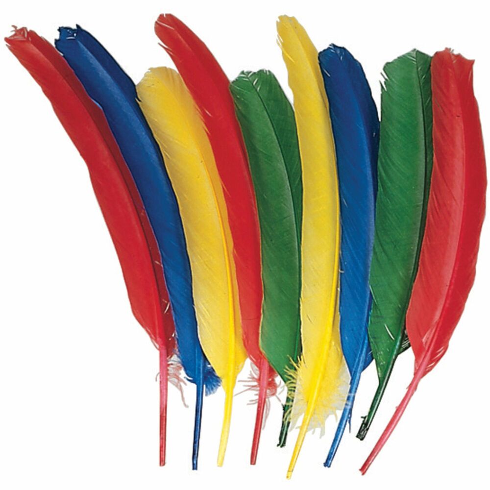 Image of Pacon Quill Feathers, 12"L, 24/PK, Blue/Red/Green/Yellow