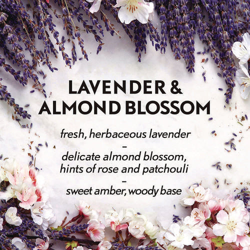 Image of Air Wick® Essential Mist Refill, Lavender And Almond Blossom, 0.67 Oz Bottle, 6/carton