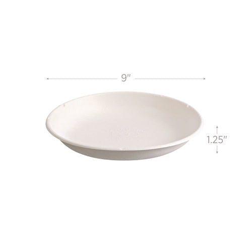 Image of Eco-Products® Vanguard Worldview Renewable and Compostable Sugarcane Take-Out Containers, 34.1 oz, 9 x 9 x 1.25, White, 400/Carton