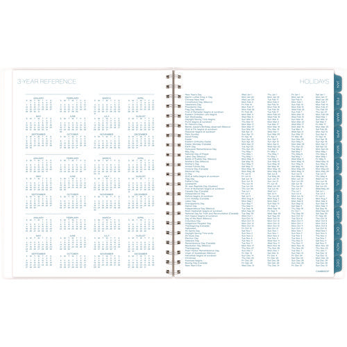 Image of Cambridge® Glacier Weekly/Monthly Planner, Glacier Artwork, 11" x 9.25", Blue/Gray/Silver Cover, 12-Month (Jan to Dec): 2025