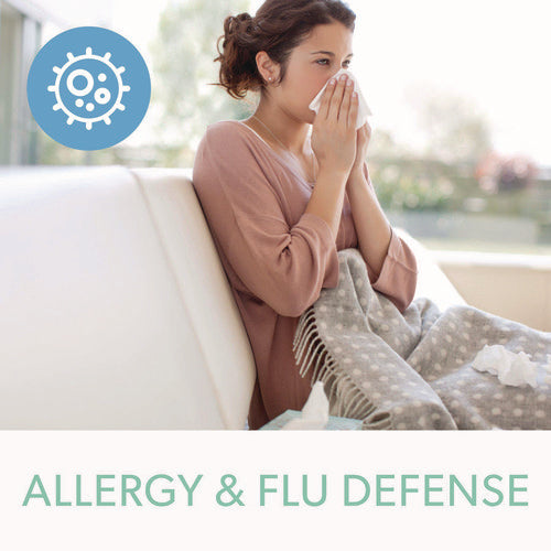 Image of TruSens True HEPA and Allergy Replacement Filters for TruSens Medium Air Purifiers