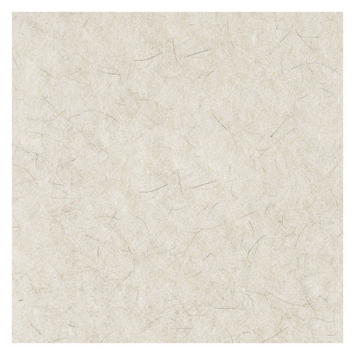 Image of Boardwalk® Natural Burnishing Floor Pads, 19" Diameter, White, 5/carton