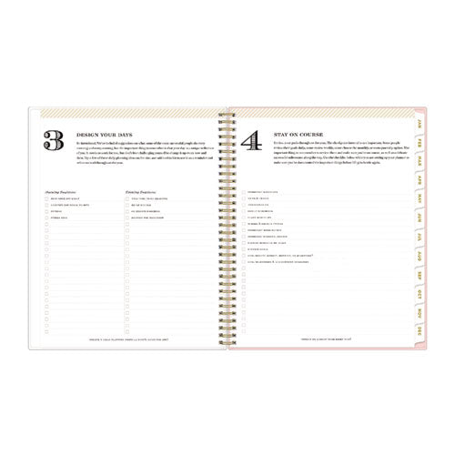 Image of Blue Sky® Day Designer Coming Up Roses Create-Your-Own Cover Weekly/Monthly Planner, Roses Artwork, 11 x 8.5, 12-Month (Jan-Dec): 2025