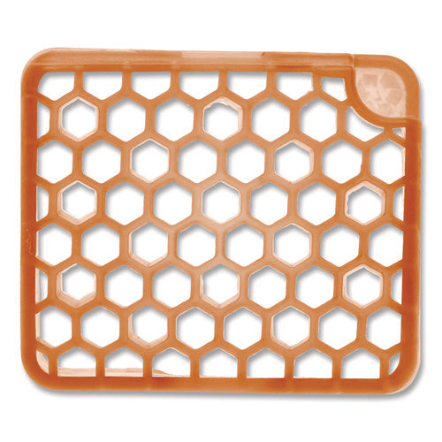 Image of Fresh Products myfresh Refill, Mango, 36/Carton