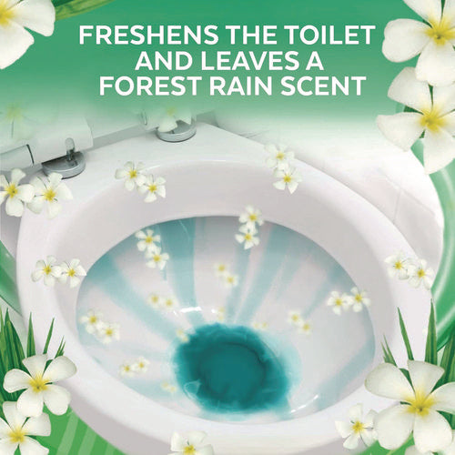 Image of LYSOL® Brand Cling and Fresh Toilet Bowl Cleaner, Forest Rain Scent, 24 oz, 2/Pack, 4 Packs/Carton