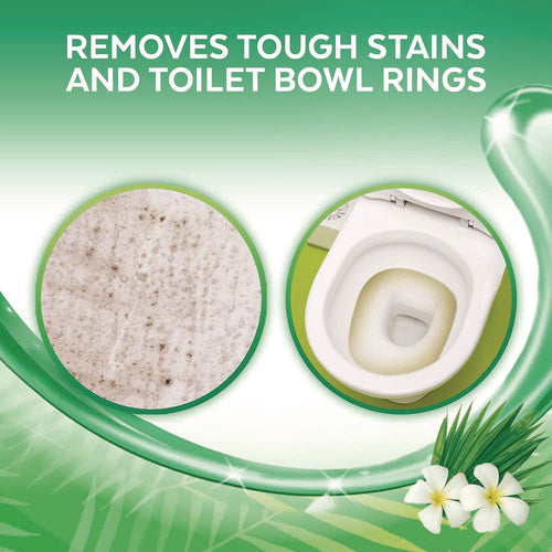 Image of LYSOL® Brand Cling and Fresh Toilet Bowl Cleaner, Forest Rain Scent, 24 oz, 2/Pack
