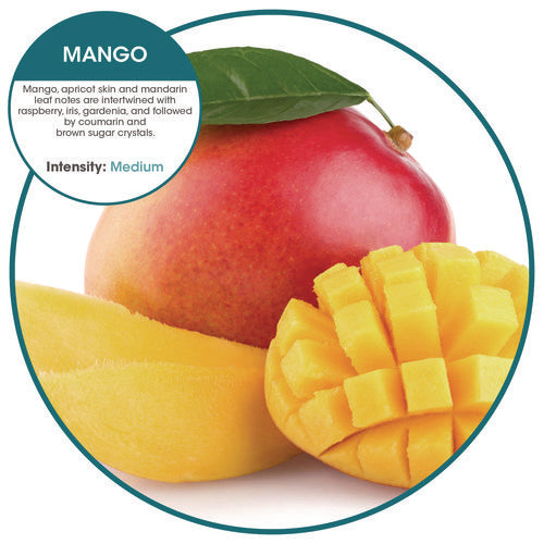 Image of Fresh Products Ourfresh Airfreshener, Mango, 8/box