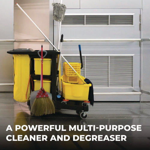 Image of Simple Green® Clean Building All-Purpose Cleaner Concentrate, 1 Gal Bottle, 2/carton