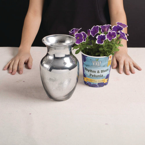 Image of Rust-Oleum® Specialty Mirror Effect Spray Paint, High Gloss Mirror, 6 oz Aerosol Can, 6/Carton