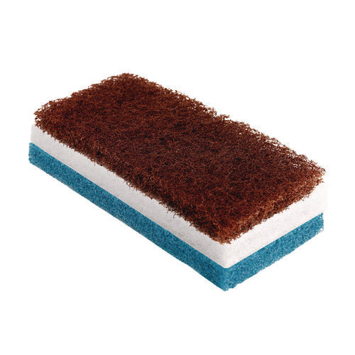 Image of Americo® Octopus Threaded Holder Kit, 9" x 3.75", Royal Blue, 4/Carton