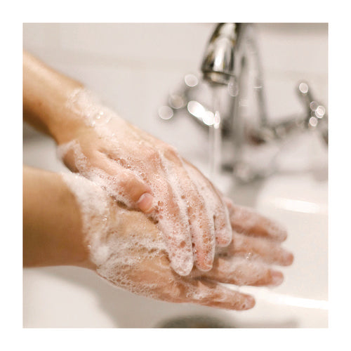 Image of Dial® Professional Basics Liquid Hand Soap, Fresh Floral Scent, 7.5 oz Pump Bottle