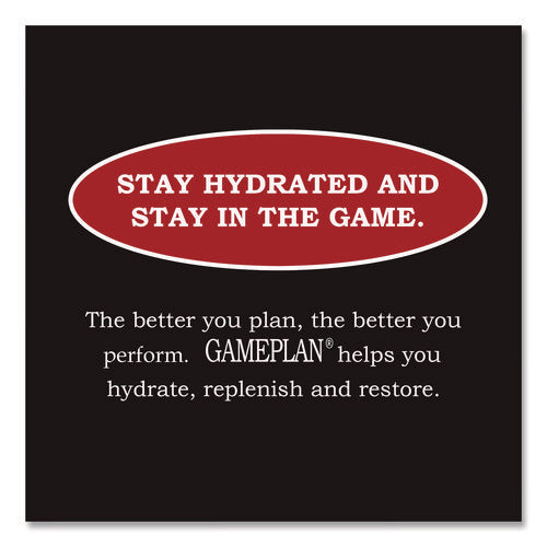 Image of Niagara® Bottling Gameplan Sports Drink, Fruit Punch, 20 oz Bottle, 24/Carton
