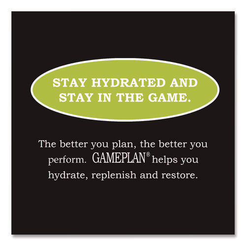 Image of Niagara® Bottling Gameplan Sports Drink, Lemon Lime, 20 oz Bottle, 24/Carton