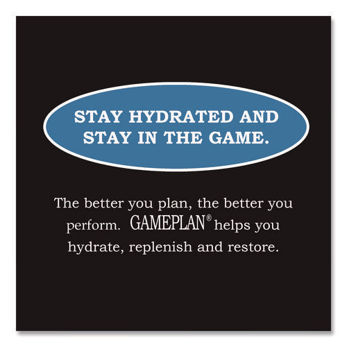 Image of Niagara® Bottling Gameplan Sports Drink, Mixed Berry, 20 oz Bottle, 24/Carton