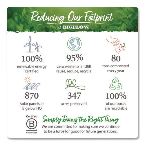 Image of Bigelow® Single Flavor Tea, Green, 28 Bags/box