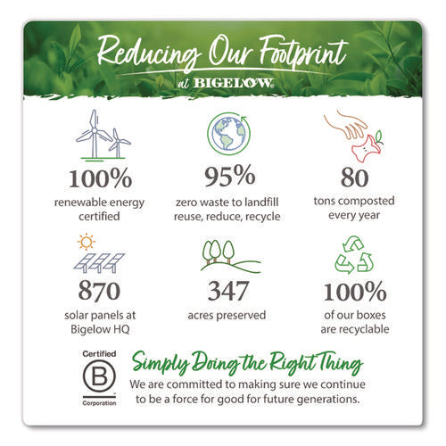 Image of Bigelow® Benefits Lemon And Echinacea Herbal Tea Bags, 0.6 Oz Tea Bag, 18/box