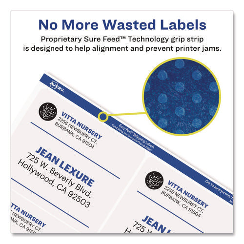 Image of Avery® Matte Clear Easy Peel Mailing Labels W/ Sure Feed Technology, Laser Printers, 3.33 X 4, Clear, 6/sheet, 10 Sheets/pack