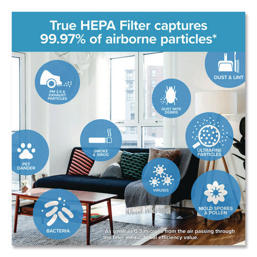 Image of Filtrete True HEPA Air Purifier Filter, 12 x 6.75 x 2