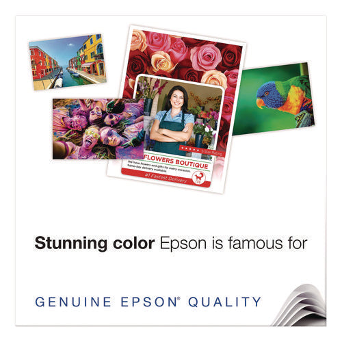 Image of Epson® Photo-Quality Self Adhesive Paper, 8.38 X 11.75, Matte White, 10/pack