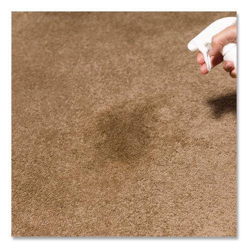 Image of Rust-Oleum® Carpet Stain Remover Plus Deodorizer, Lemon Scent, 32 oz Spray Bottle, 6/Carton