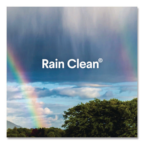 Image of Clorox® Clean-Up Multi-Surface Cleaner with Bleach, 32 oz Spray Bottle, Rain Clean Scent, 9/Carton