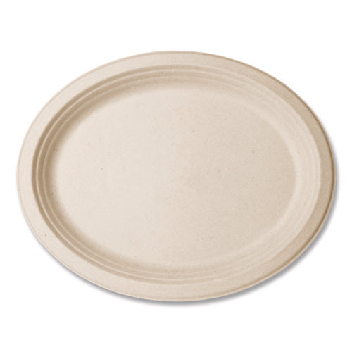 Image of Vegware Nourish Molded Fiber Tableware, Compostable, Platter, Sugarcane, 8 x 10, White, 500/Carton