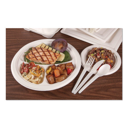 Image of Eco-Products® Plantware Compostable Cutlery, Spoon, Plastic, Pearl White, 50/Pack, 20 Pack/Carton