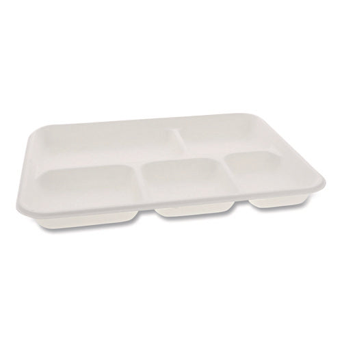 Image of Pactiv Evergreen Compostable Fiber Blend School Lunch Tray, 10 x 8 x 1, White, 240/Carton