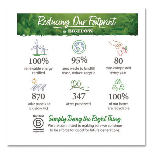 Image of Bigelow® steep Cafe Organic Green Tea, Tropical, 50 Bags/Carton