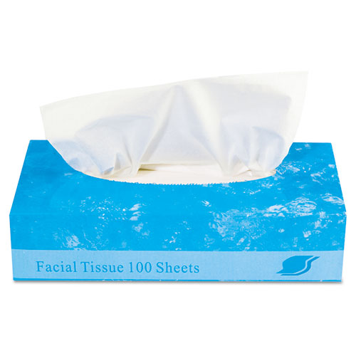 Image of GEN Boxed Facial Tissue, 2-Ply, White, 100 Sheets/Box, 30 Boxes/Carton