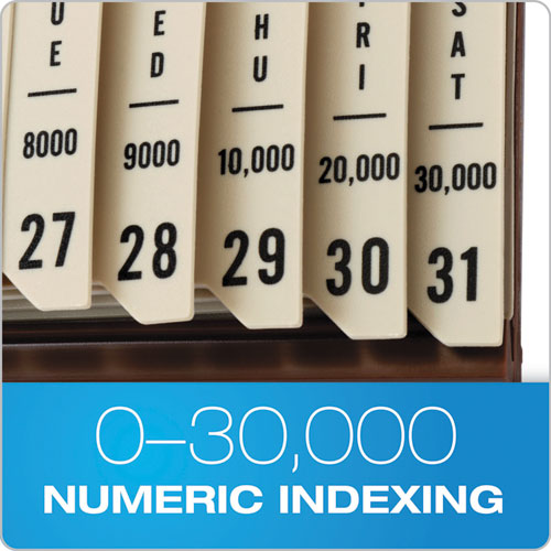 Image of Pendaflex® General Purpose Indexed Sorter, 31 Dividers, Alpha/Numeric/Month/Date/Day Index, Letter Size, Brown Frame