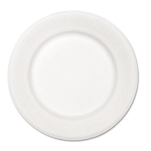 Image of Chinet® Paper Dinnerware, Plate, 10.5" Dia, White, 500/carton
